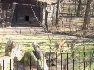 Zoo Praha 11995