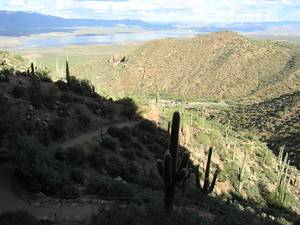 Jezera Canyon, Apache, Roosevelt a Tonto a150949