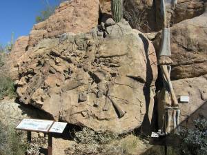 Sonora Desert Museum a231112