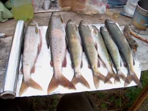 Rybaření u jezera Bajkal 05834